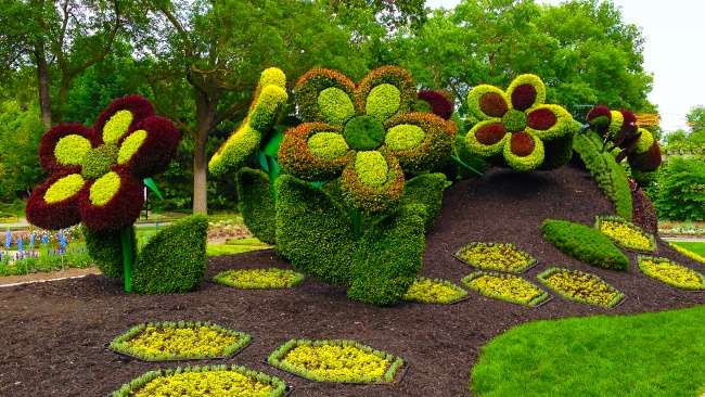 В ботаническом саду Монреаля открылся фестиваль цветов.