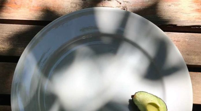 Півзернятка в день або Ідеальний сніданок Летючої.