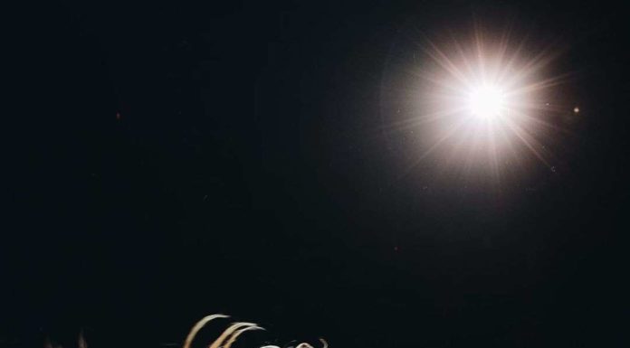 Не потрапляєте на концерт Дженніфер Лопес в Москві? Подивіться хоча б її пресом.