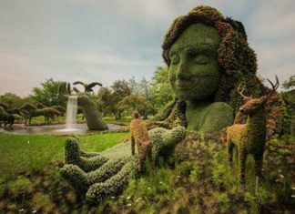 У ботанічному саду Монреаля відкрився фестиваль квітів.