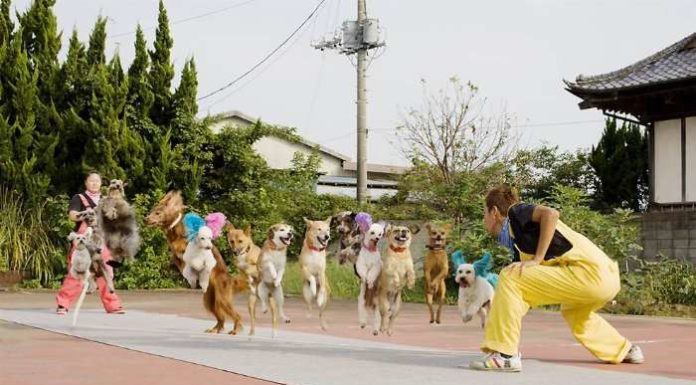 Книги тронина Рекордів Гіннеса 2012 року.