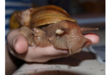 Блог Наталії. 4-ий день: Почуття не обдуриш.