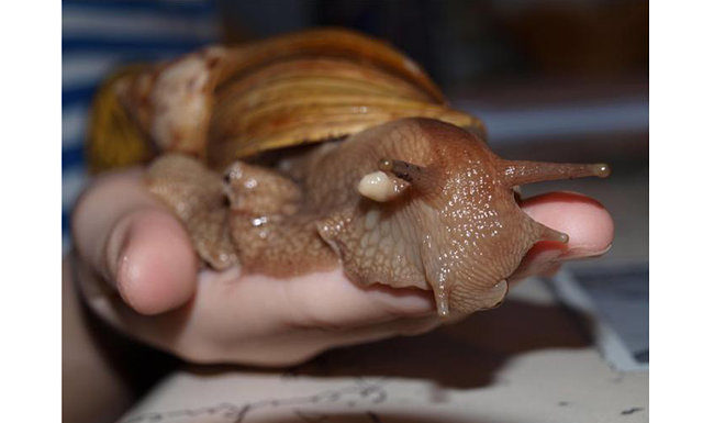 Блог Наталії. 4-ий день: Почуття не обдуриш.