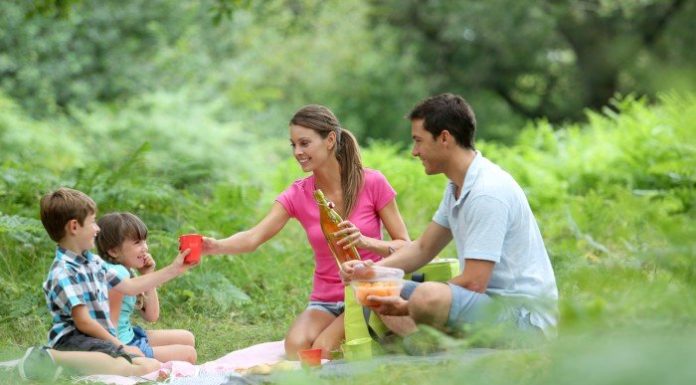 Столицю обладнують майданчиками для пікніків.