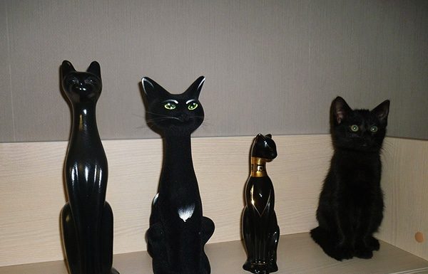 Забавні подібності.