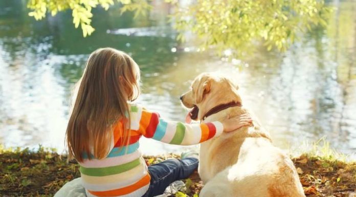 Домашні тварини позитивно впливають на розвиток дітей.