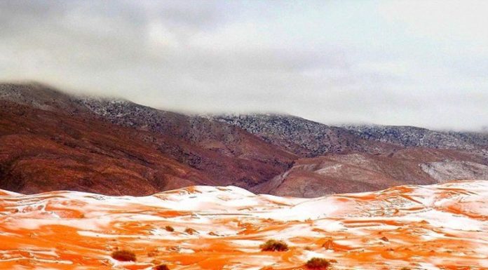 В Цукрі вперше за 37 років випав сніг.