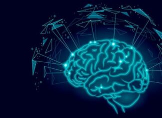 Що таке пам’ять людини, її види і можливості