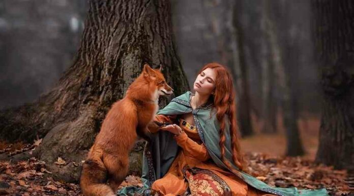 Дівчина-осінь: 20 модних зачісок для рудого волосся