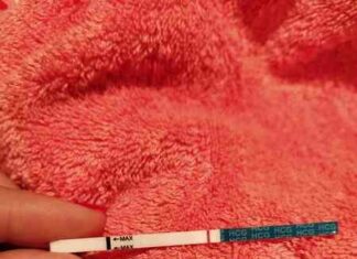 Евітест. 33дц.