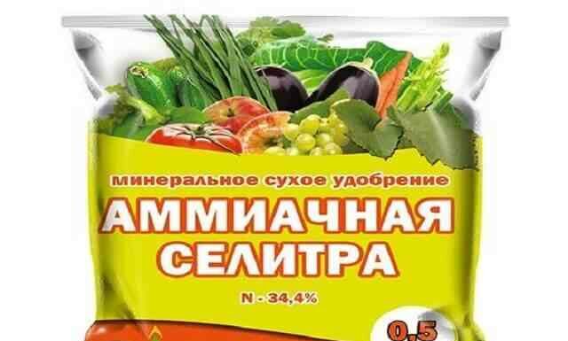 Аміачна селітра як добриво-інструкція із застосування