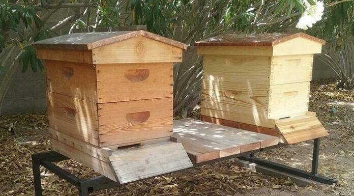 Різновиди і розміри підставок під вулики, як зробити своїми руками