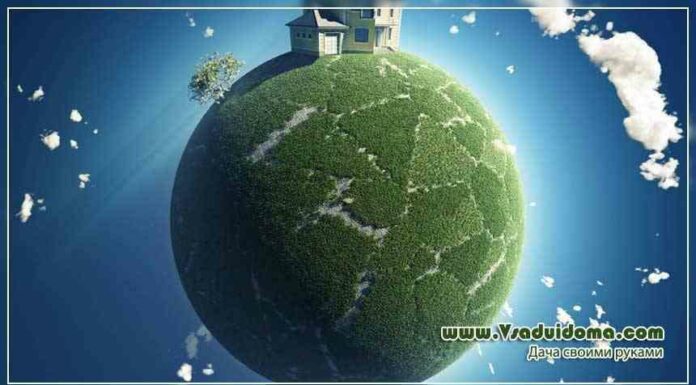 Догляд за пізніми овочами восени – поради садівників