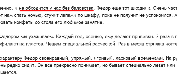 Скоттиш-страйт, або шотландська прямоухая кішка: особливості породи, зміст, вартість