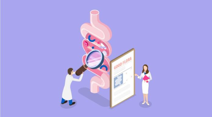 Тайныйdialog между Кишечником и Менструацией