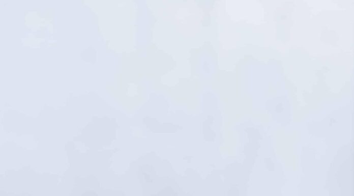 Вкусный и Здоровый Ужин: Кесадильи из Сладкого Картофеля