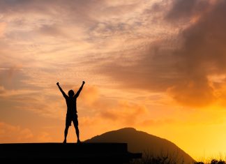 Приносять надію і зцілення врятовані коні