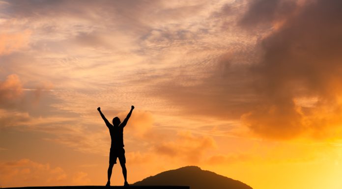 Приносять надію і зцілення врятовані коні