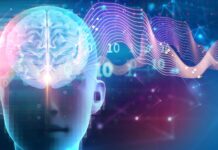 Brain Switch for Sleep: Як глибокий сон прискорює ріст, метаболізм і когнітивні функції