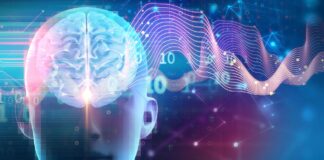 El interruptor del sueño del cerebro: cómo el sueño profundo impulsa el crecimiento, el metabolismo y la función cognitiva