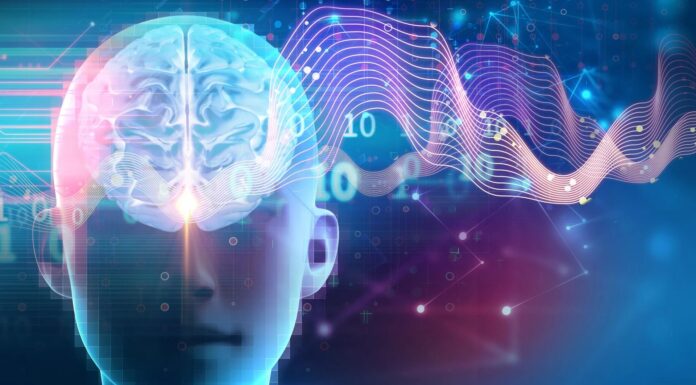 Brain Switch for Sleep: Як глибокий сон прискорює ріст, метаболізм і когнітивні функції