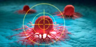 Cientistas revivem células imunológicas exauridas para impulsionar o tratamento do câncer