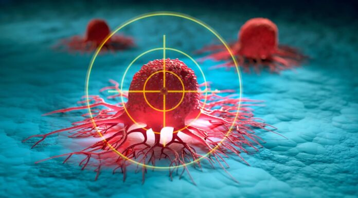 Вчені відновлюють виснажені імунні клітини для прискорення лікування раку