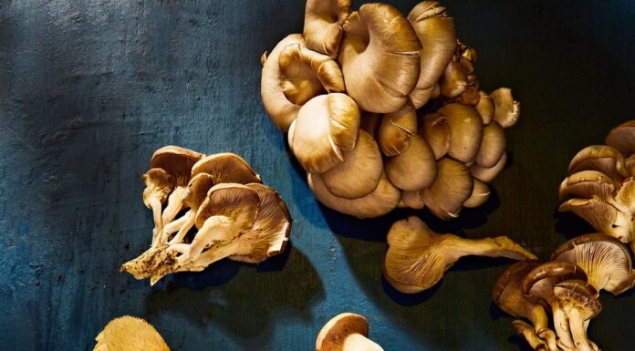 Гриби в догляді за шкірою: науково доведені переваги для сяючої шкіри