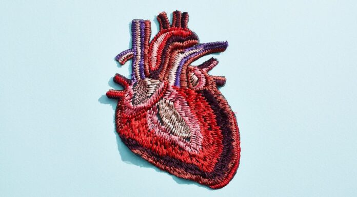 Мамографія може передбачити ризик серцевих захворювань: нові дослідження