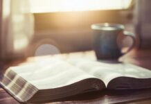 Повернення ранку: від поглинання негативу до надії