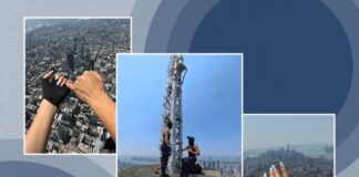Gen Z Loves the Illegal Proposal